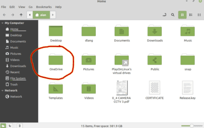 Whoo Hoo! OneDrive for Linux