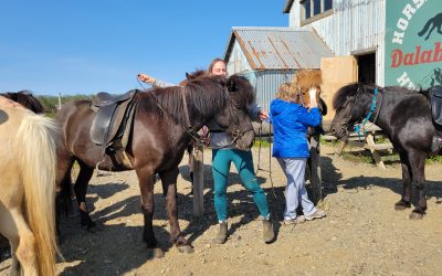 Horseback riding