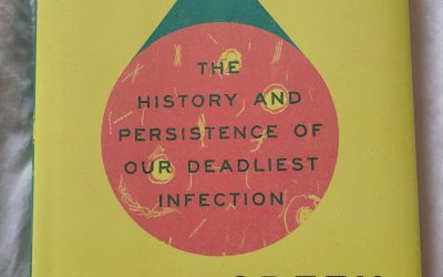 Everything is Tuberculosis