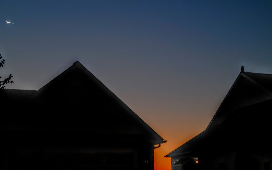 Venus, the moon and a Great Horned Owl