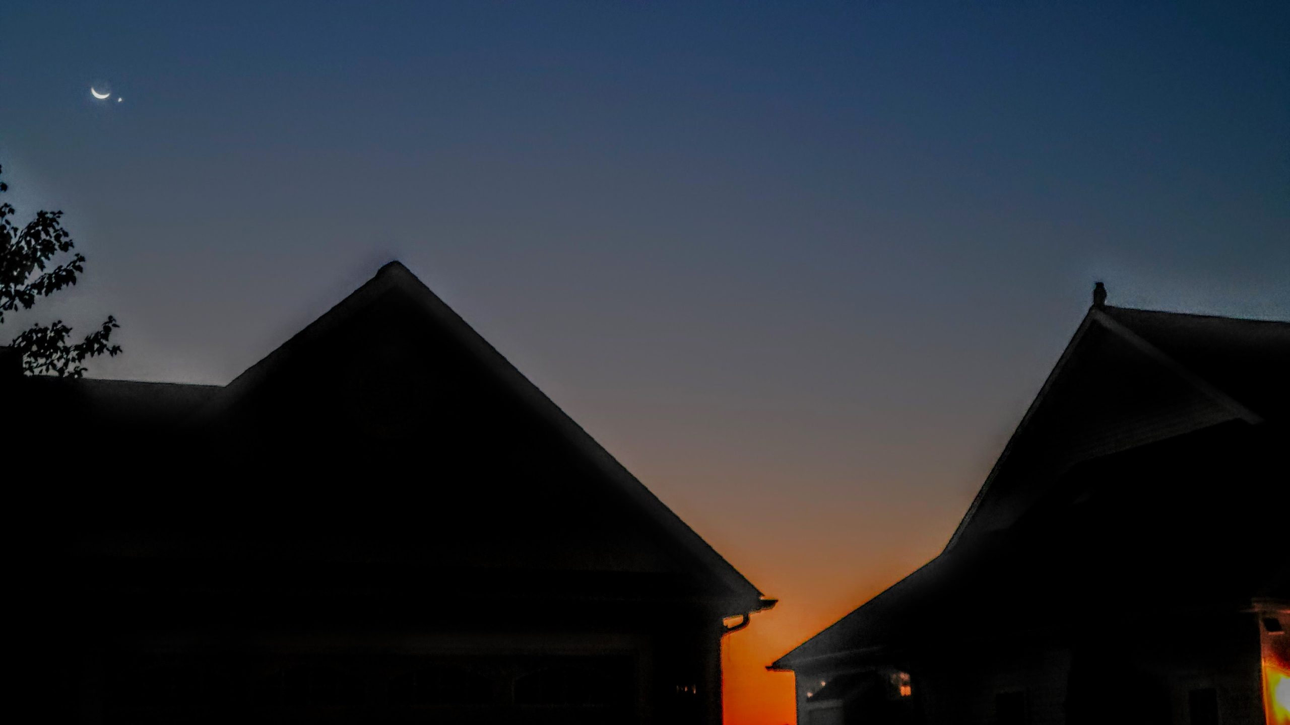 Venus, the moon and a Great Horned Owl