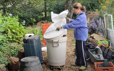 Fall cleanup in the garden