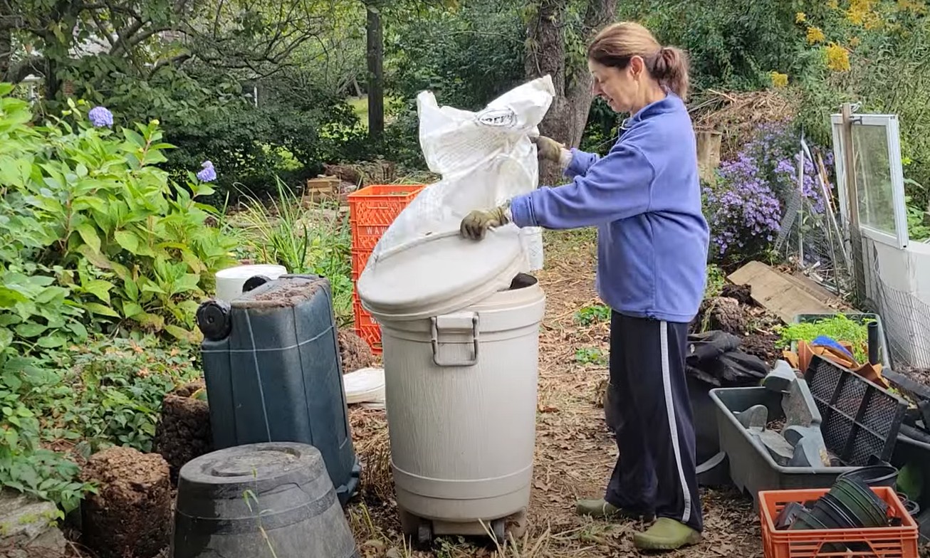 Fall cleanup in the garden