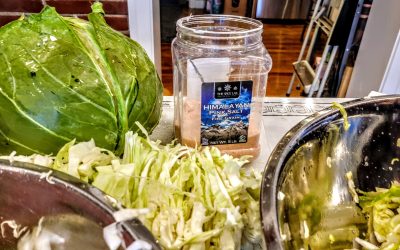 Sauerkraut making day