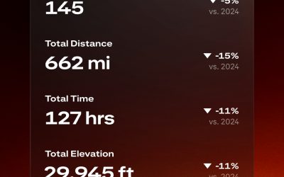 2025 according to Strava