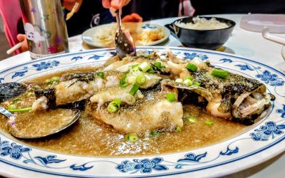 One fantastic Chines Dinner