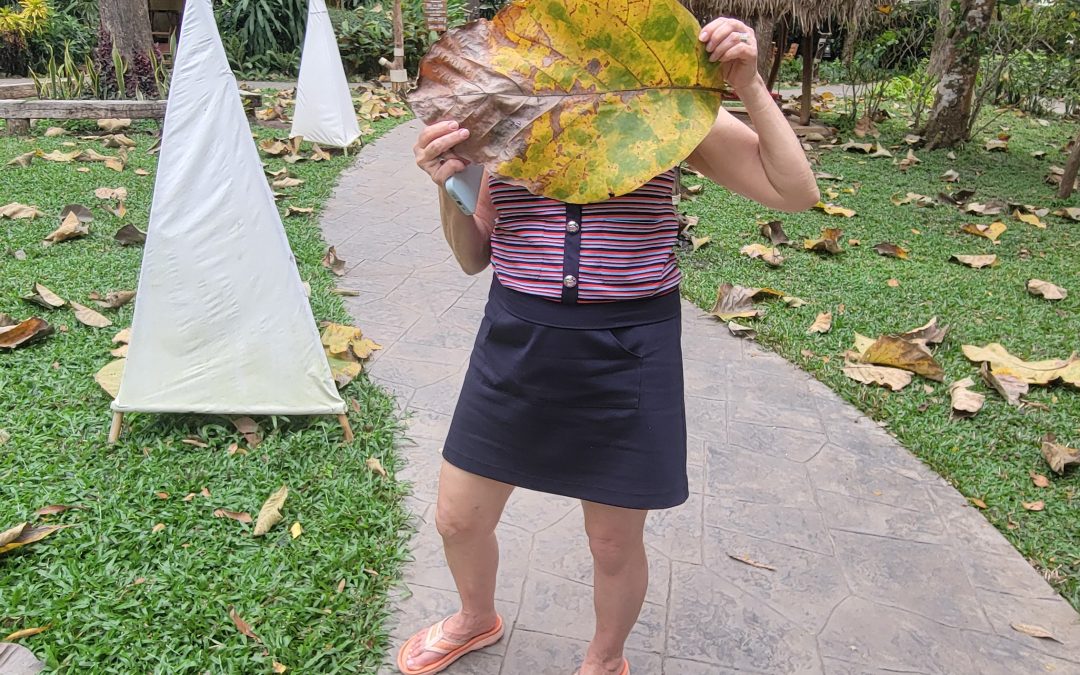 We found a big leaf