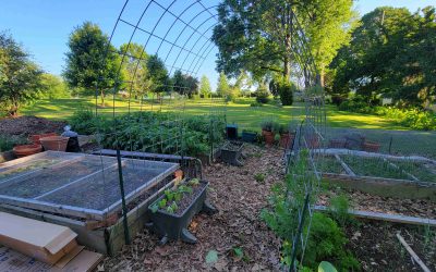Spring Gardening