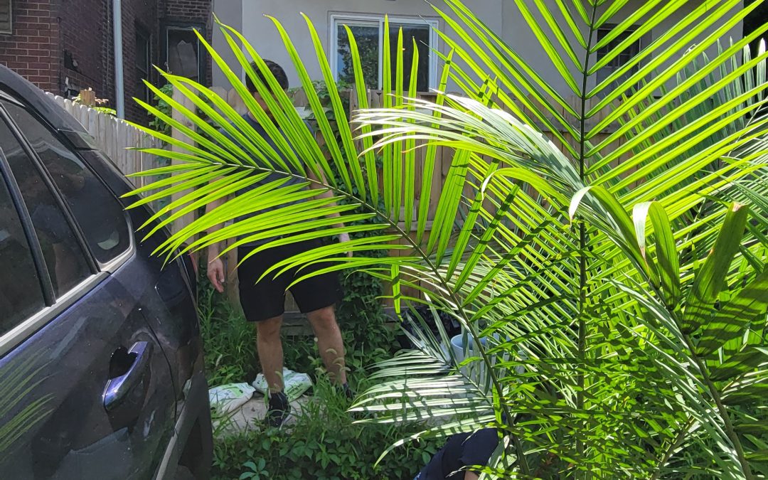 Helping Jody get some Plants